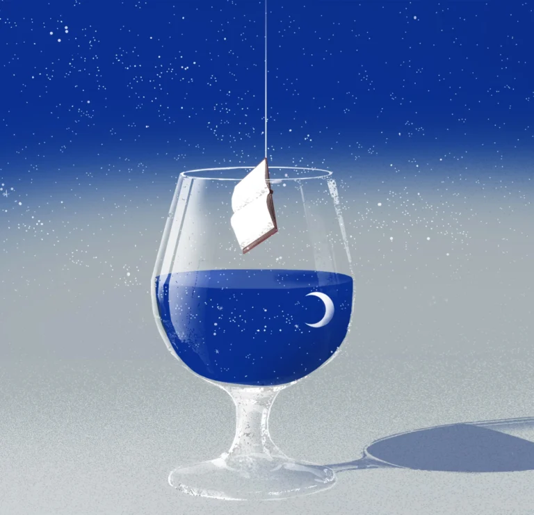 Querido Diario, illustration for an article by Iñaki Uriarte