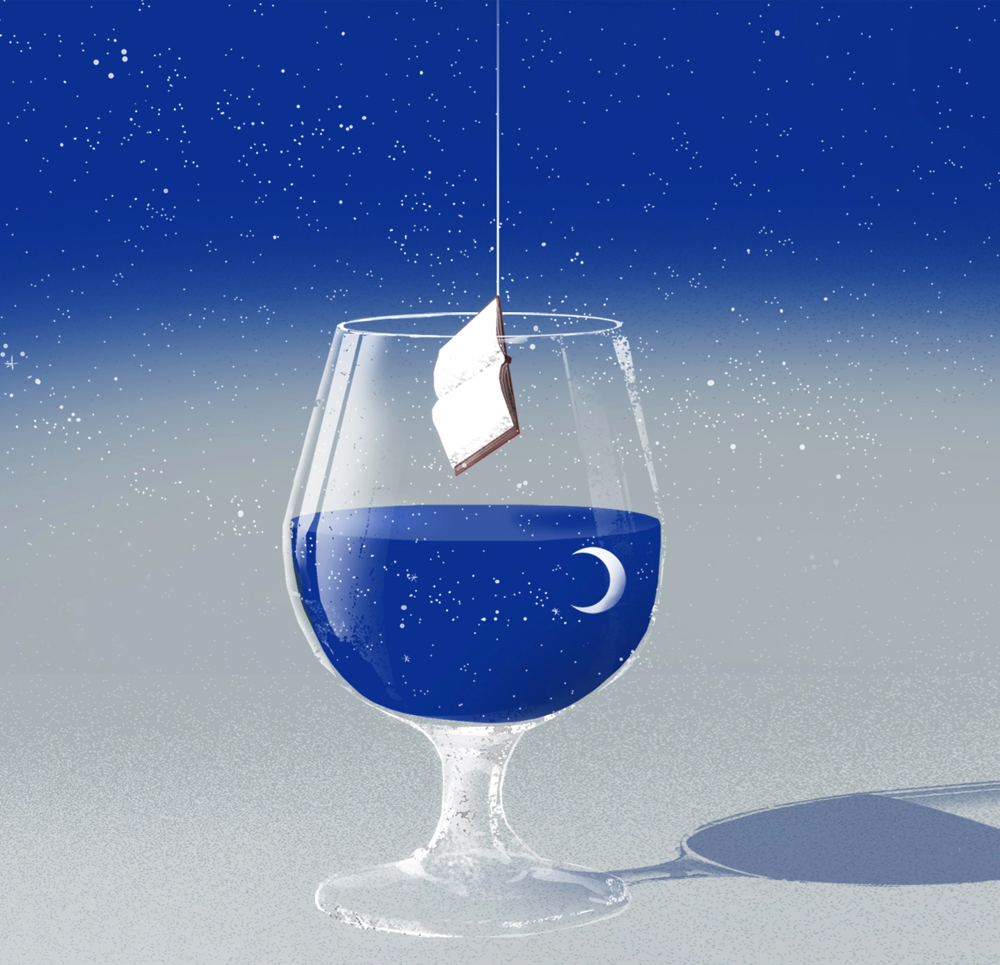 Querido Diario, illustration for an article by Iñaki Uriarte